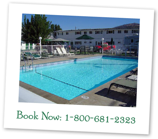 Photo of Swimming Pool in Empire Motel Courtyard